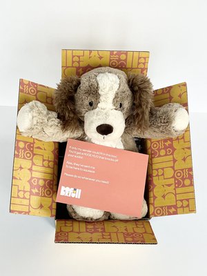 BoxFull of Hugs | Puppy