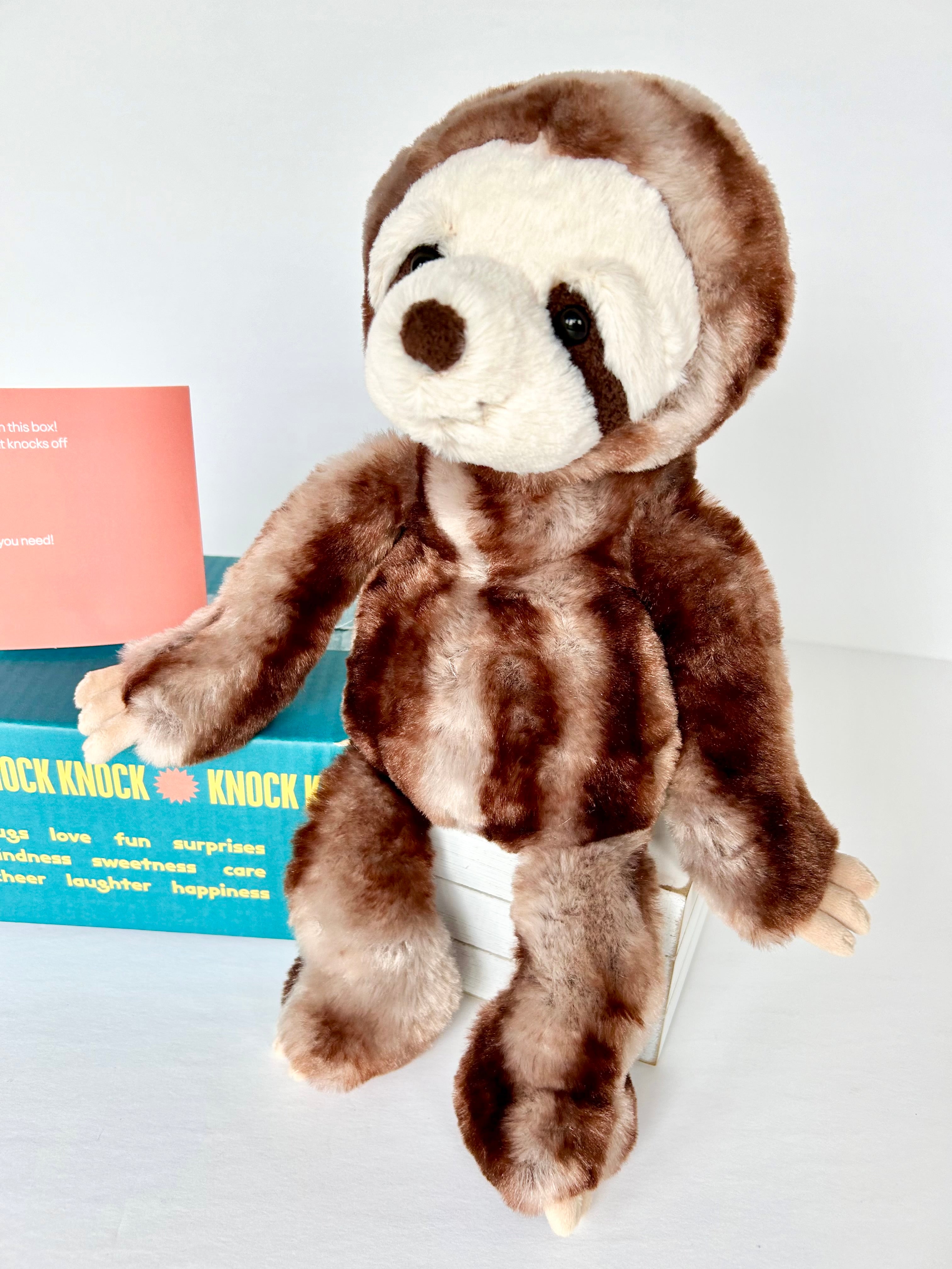 BoxFull of Hugs | Sloth