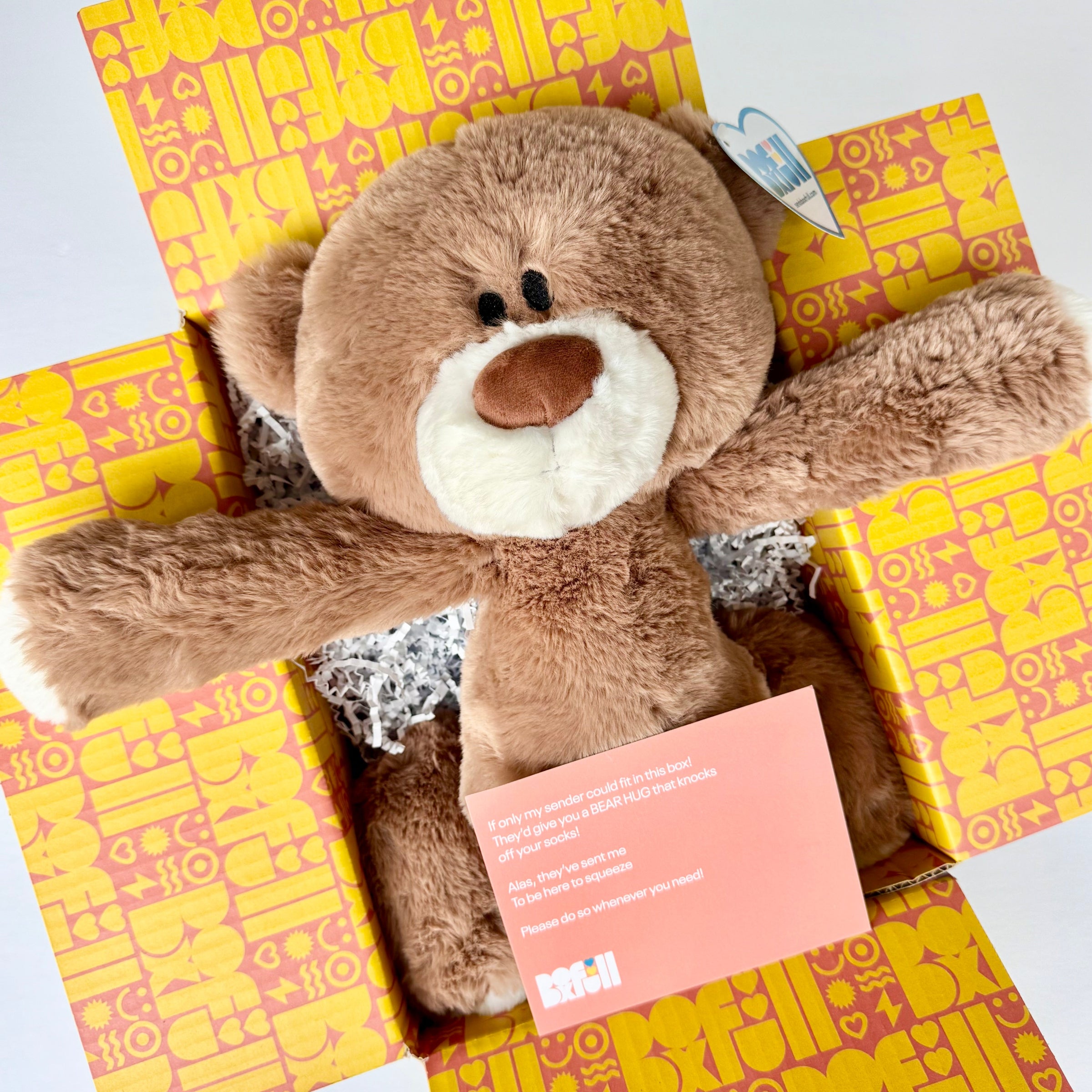 BoxFull of Hugs | Large