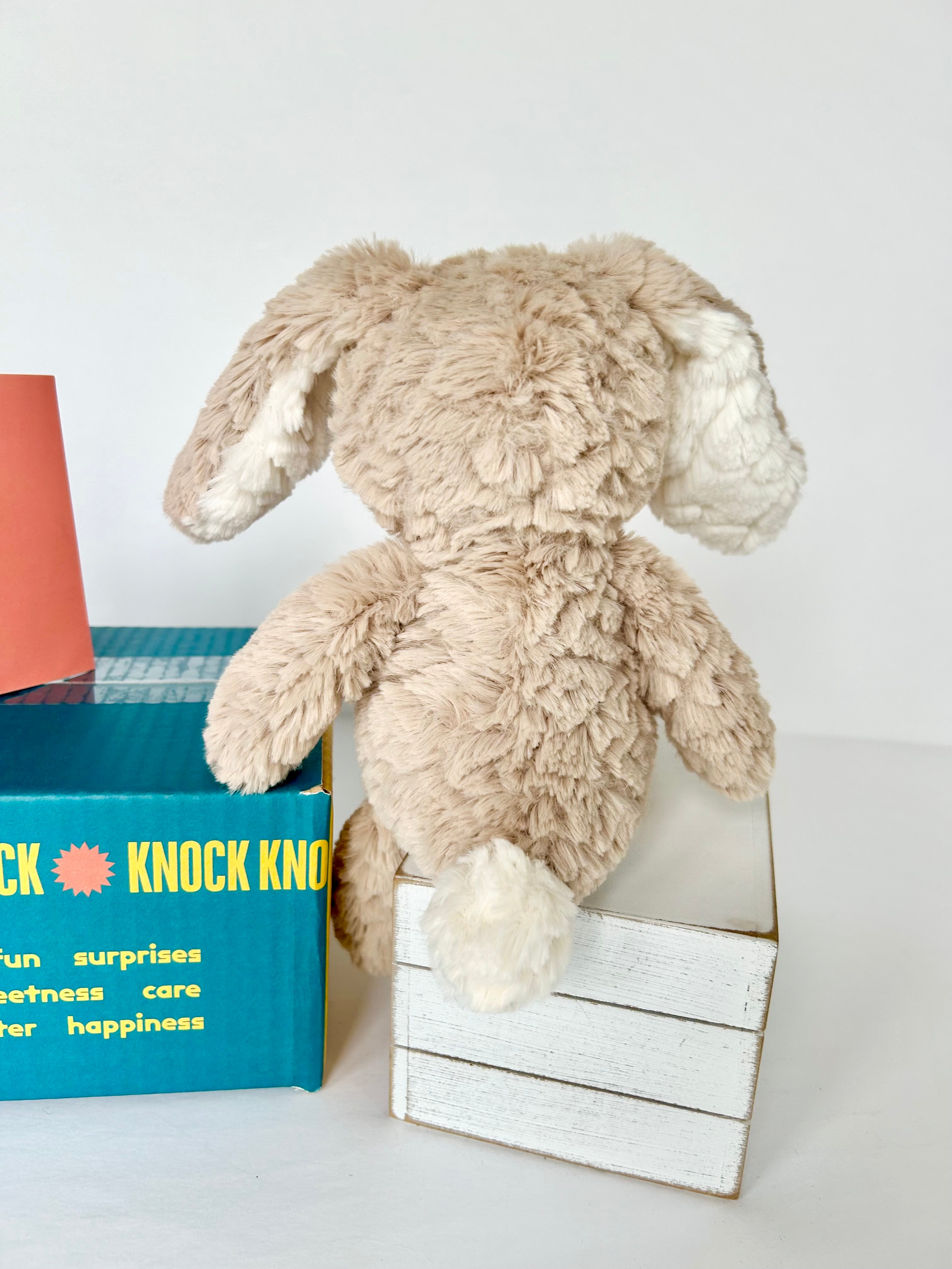 Mini BoxFull of Bunny Hugs