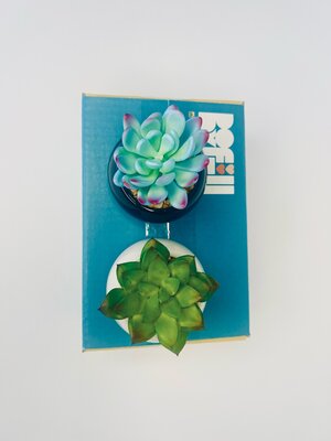 Faux Succulent Accent Decor
