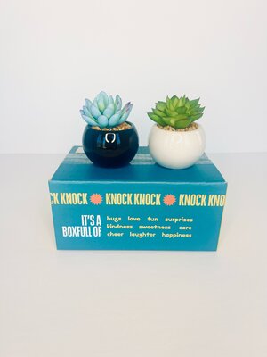 Faux Succulent Accent Decor