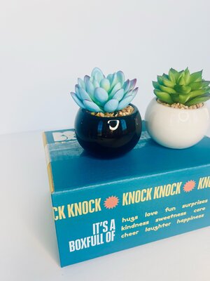 Faux Succulent Accent Decor
