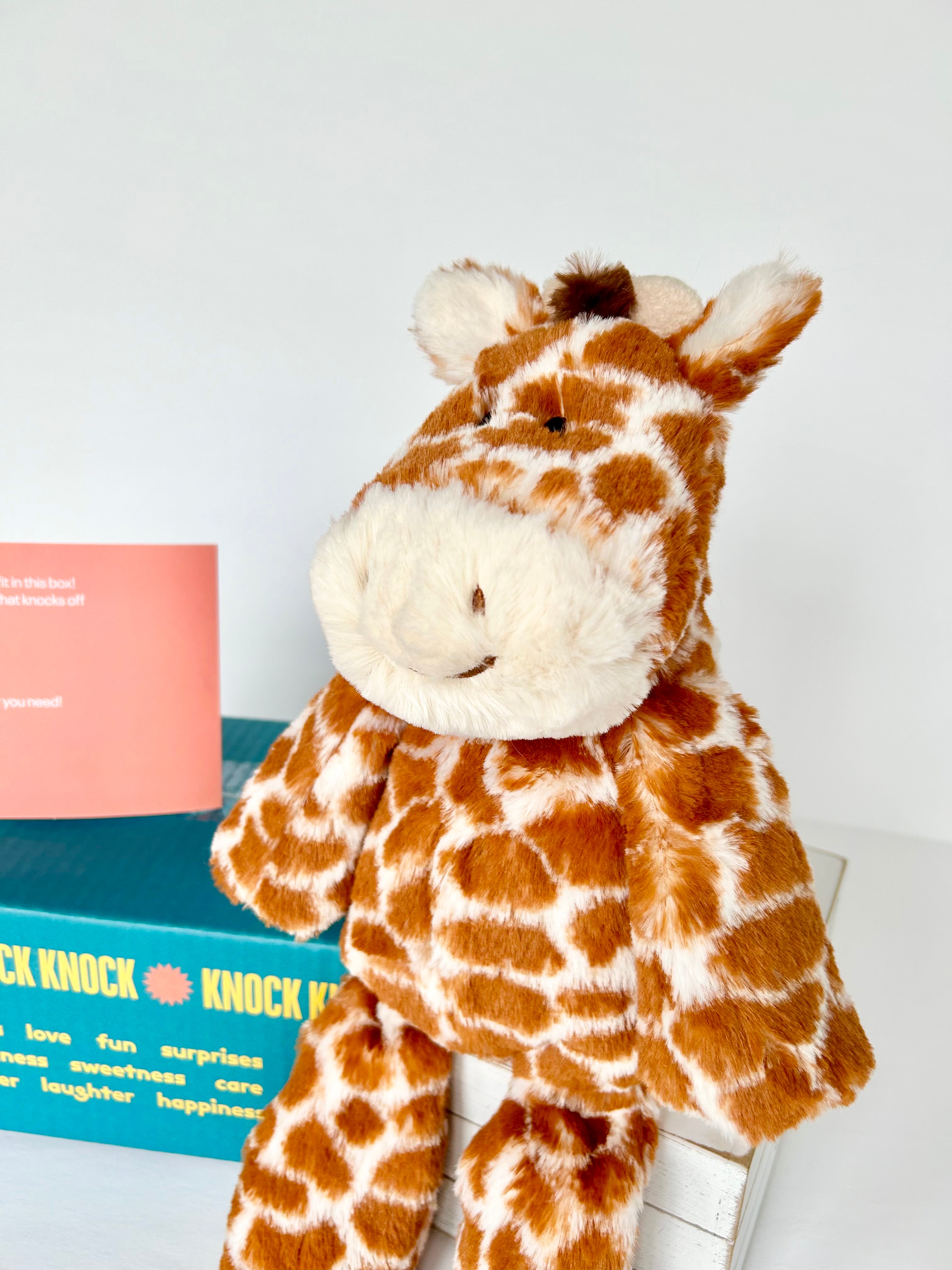 BoxFull of Hugs | Giraffe
