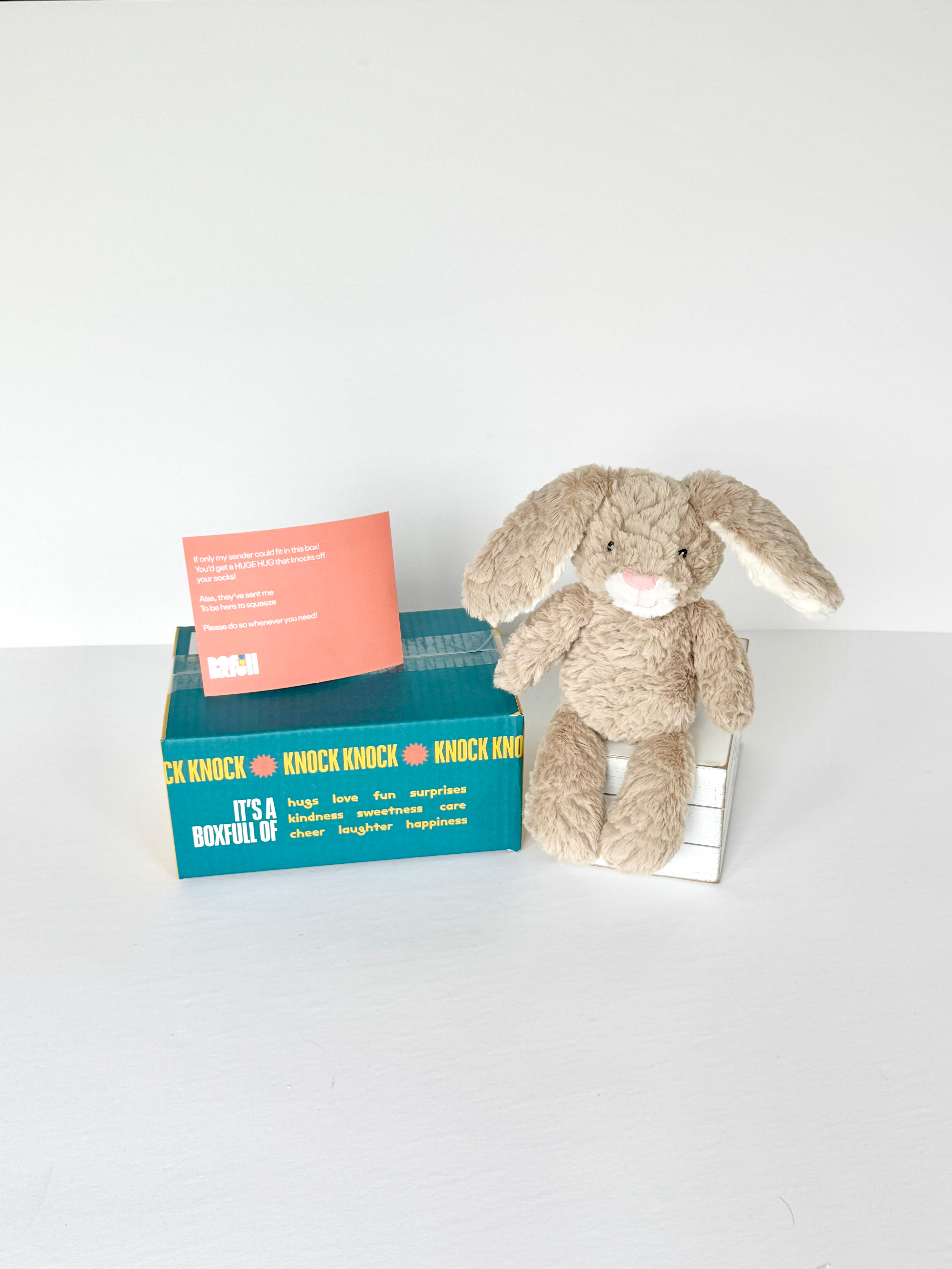 Mini BoxFull of Bunny Hugs