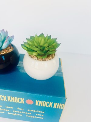 Faux Succulent Accent Decor