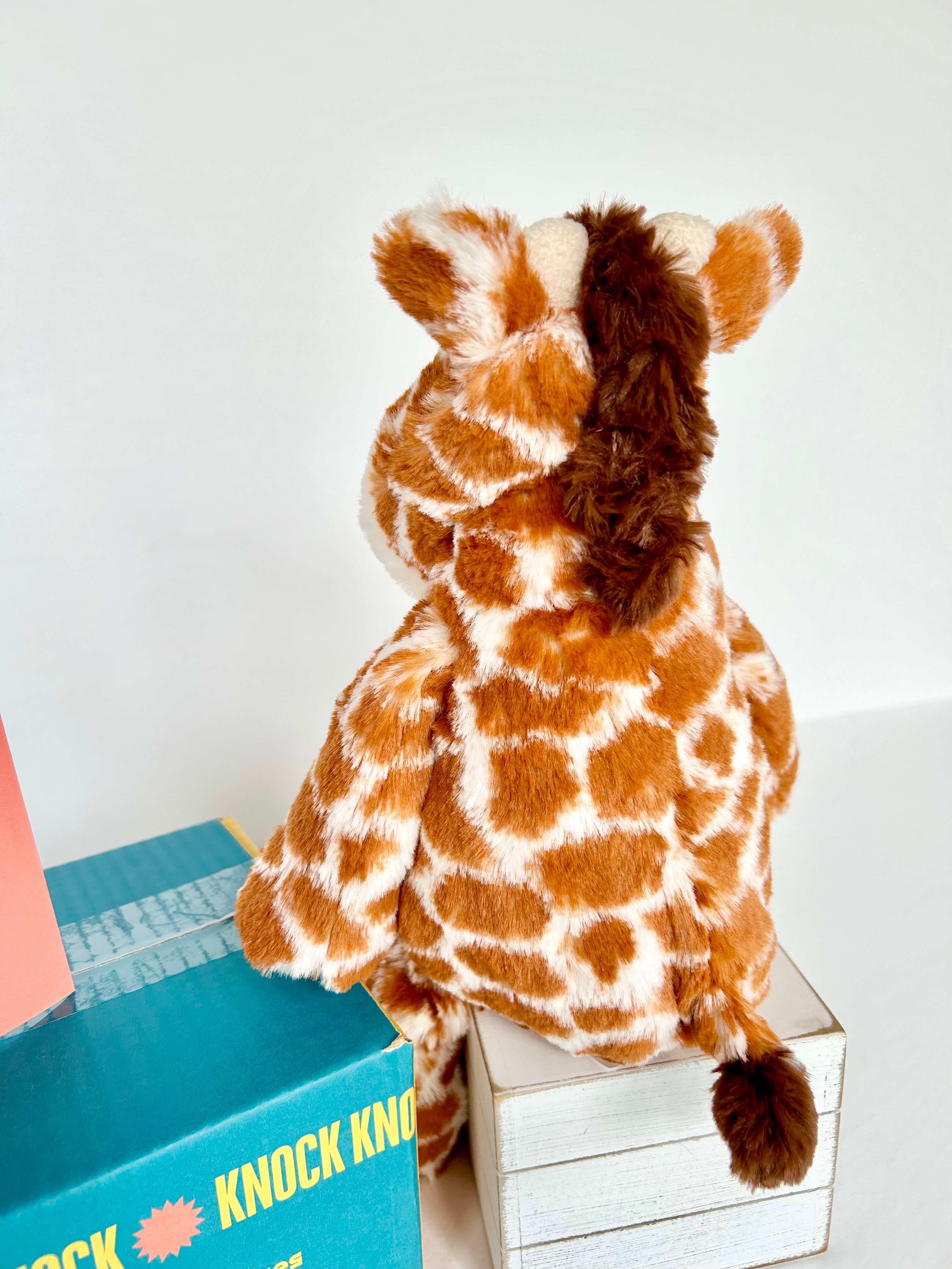 BoxFull of Hugs | Giraffe