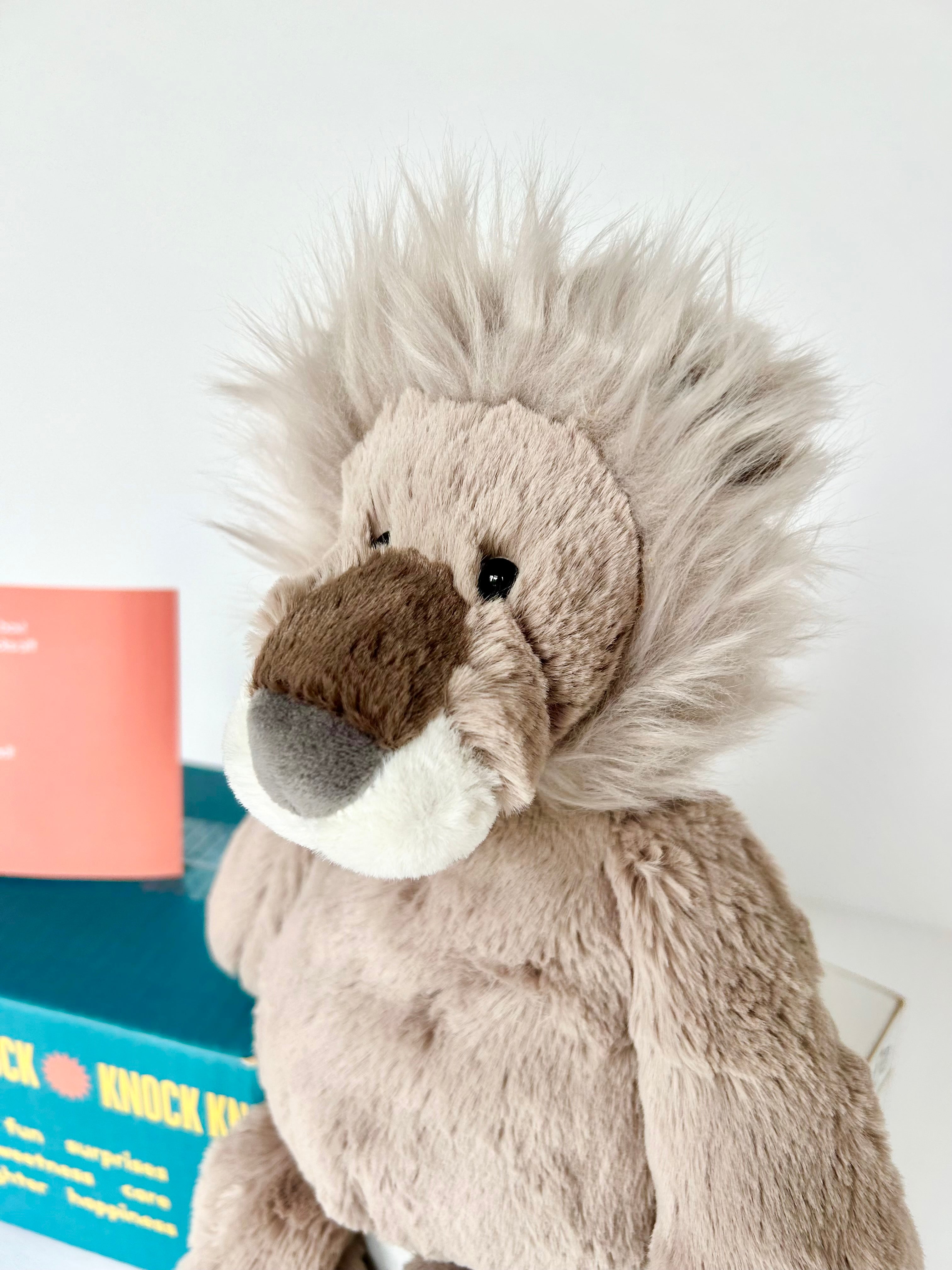 BoxFull of Hugs | Lion