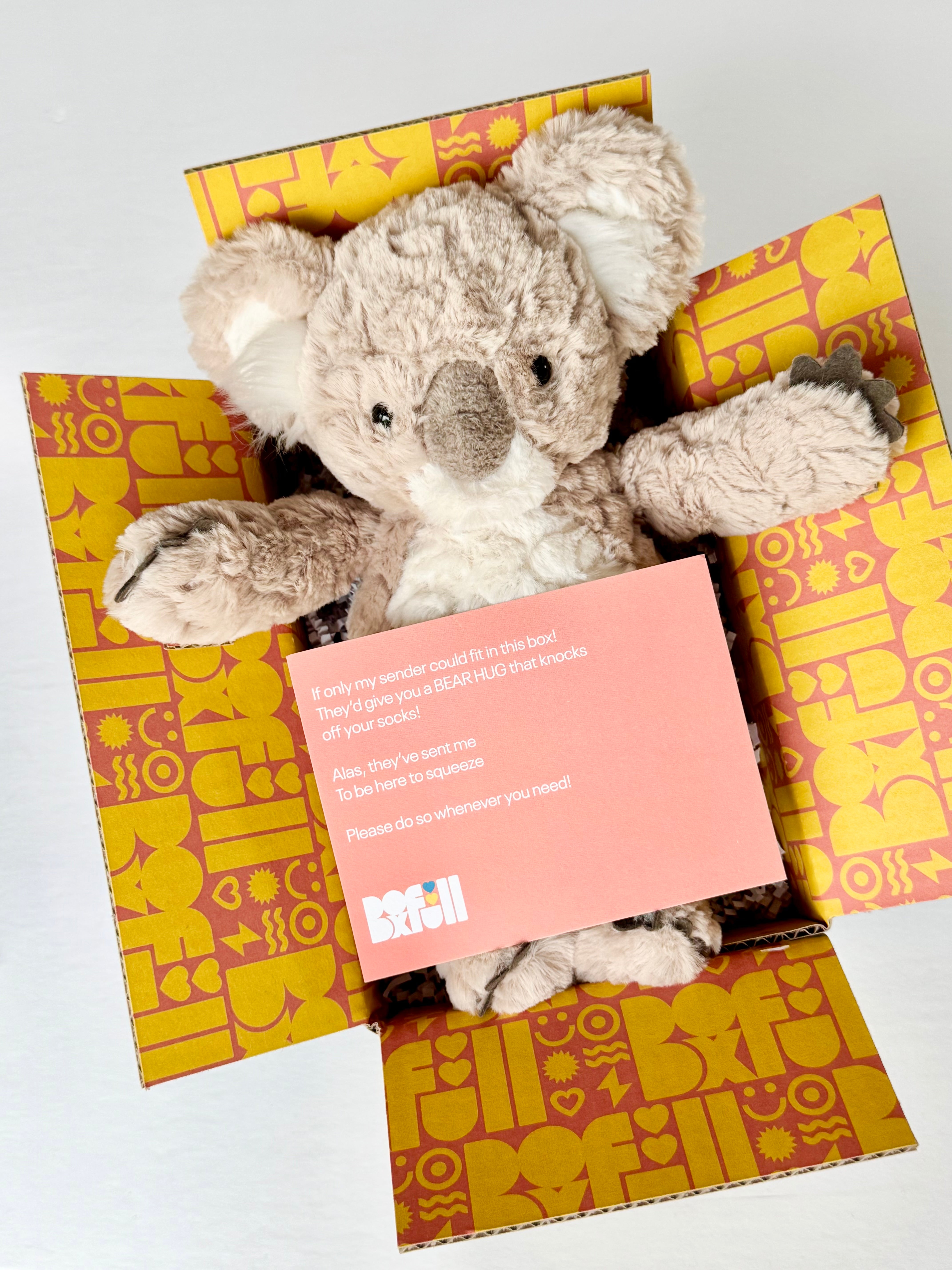 BoxFull of Hugs | Koala