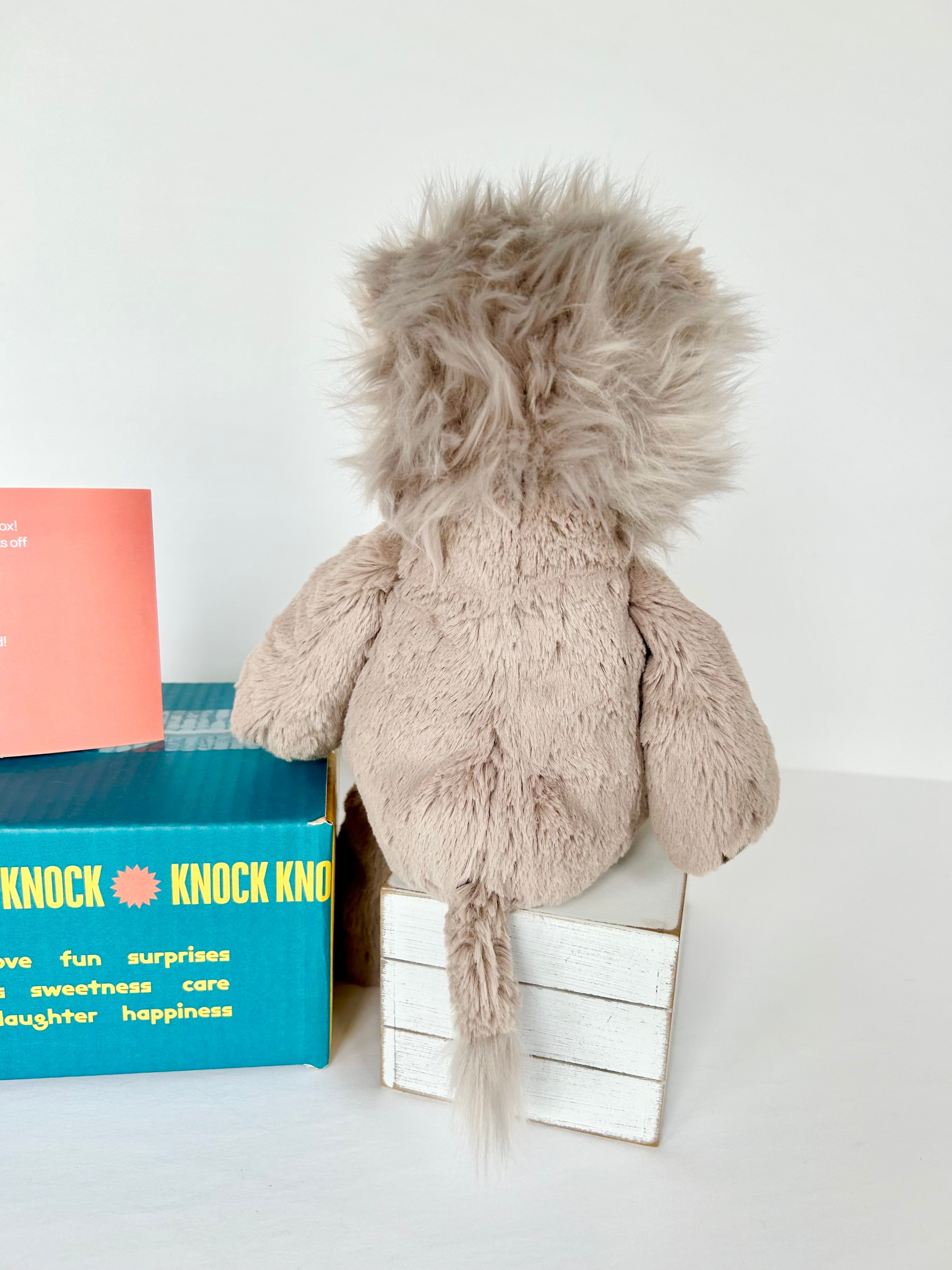 BoxFull of Hugs | Lion