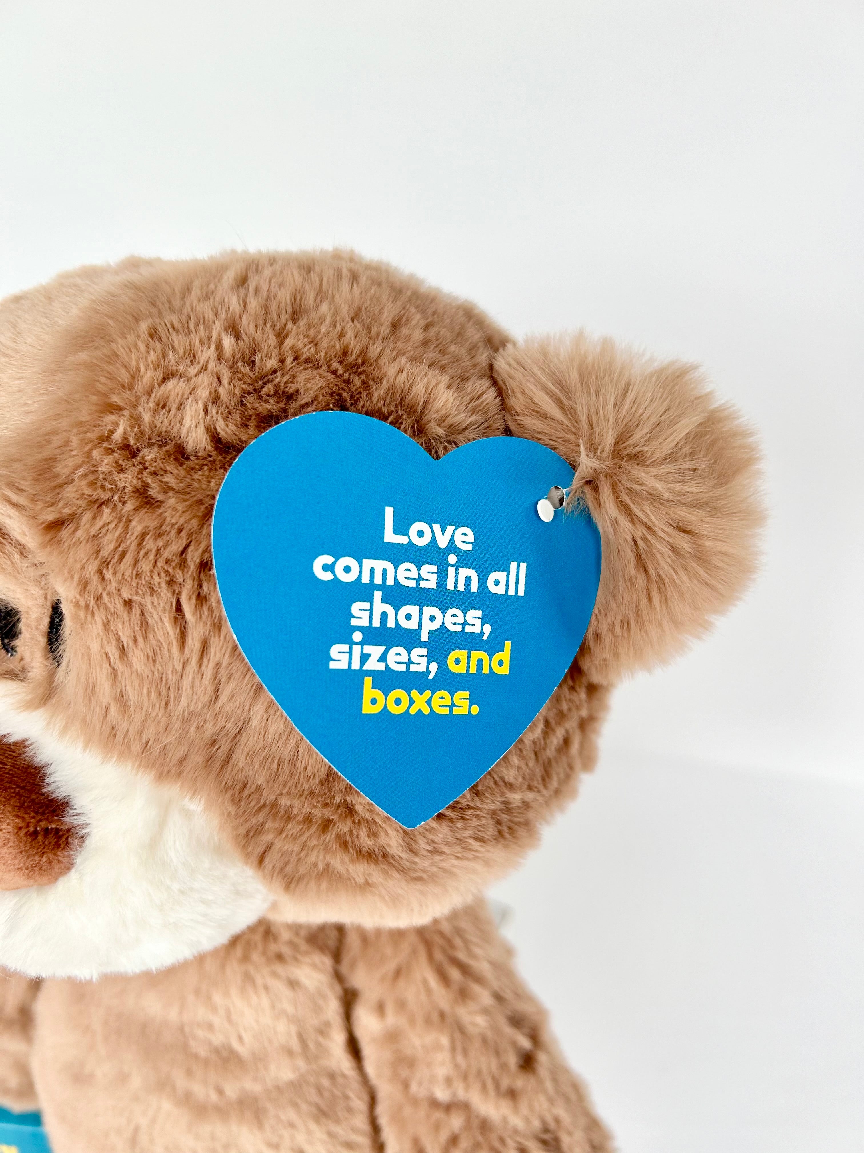 BoxFull of Hugs | Large