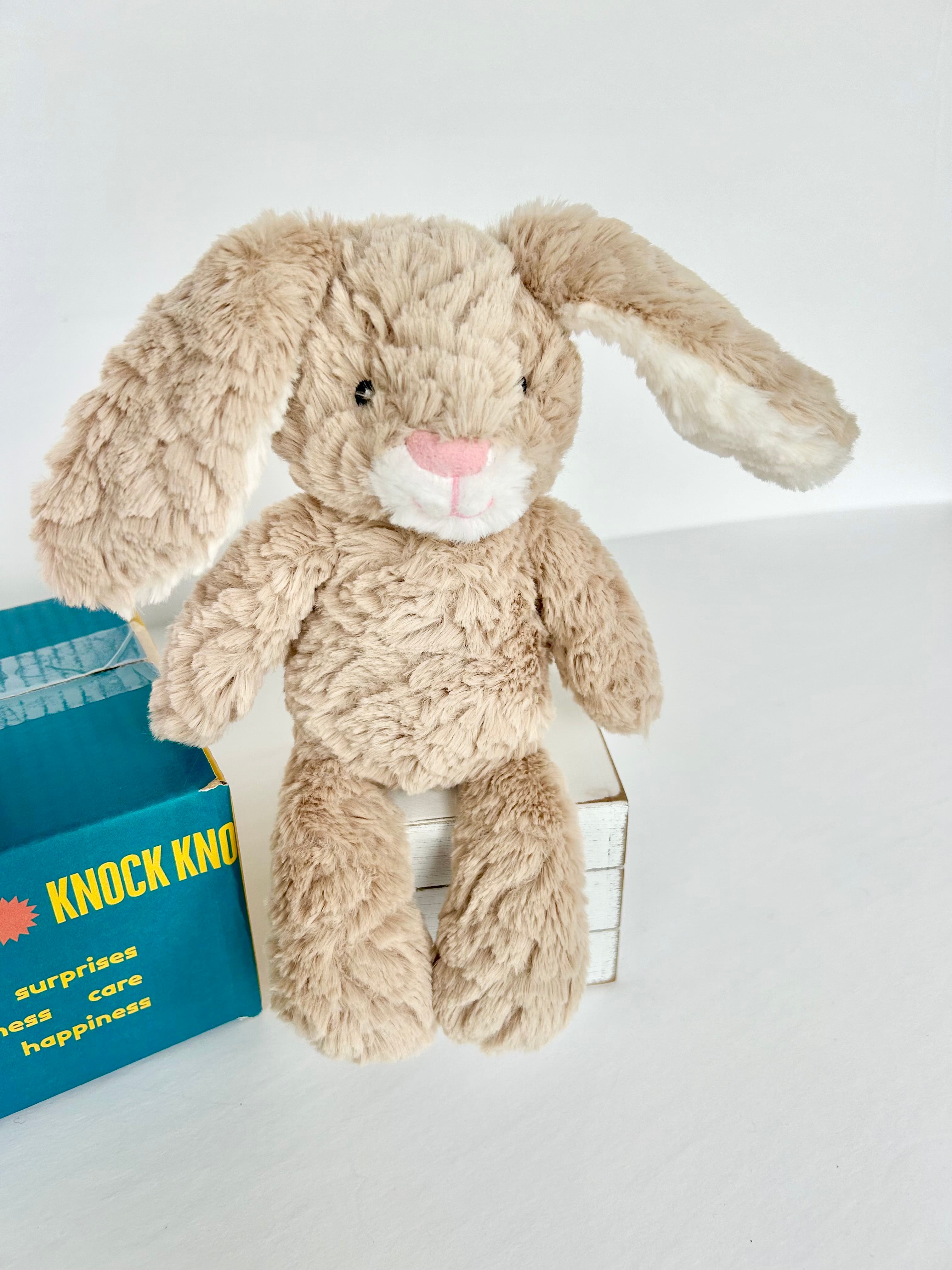 Mini BoxFull of Bunny Hugs