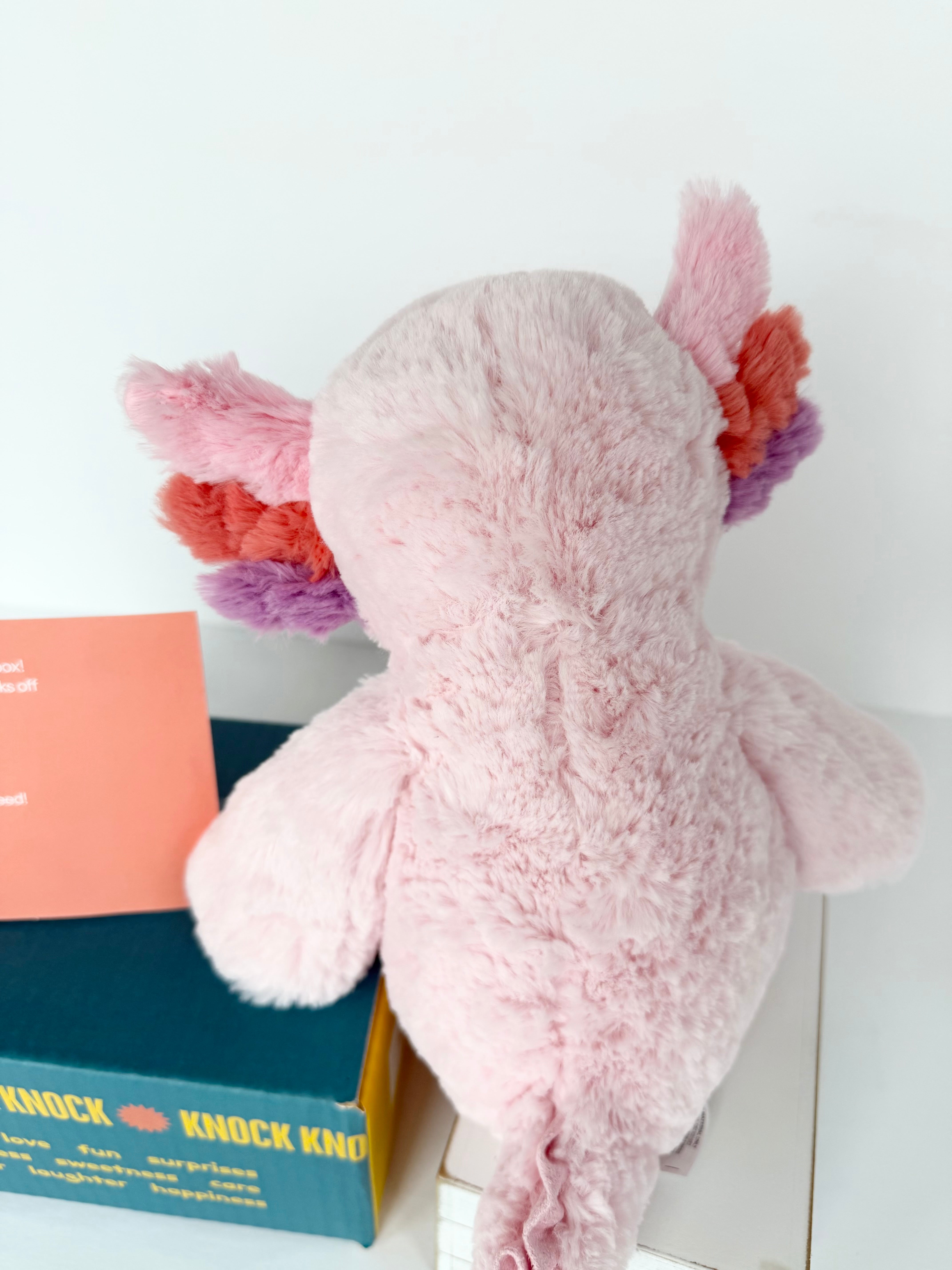 BoxFull of Hugs | Axolotl