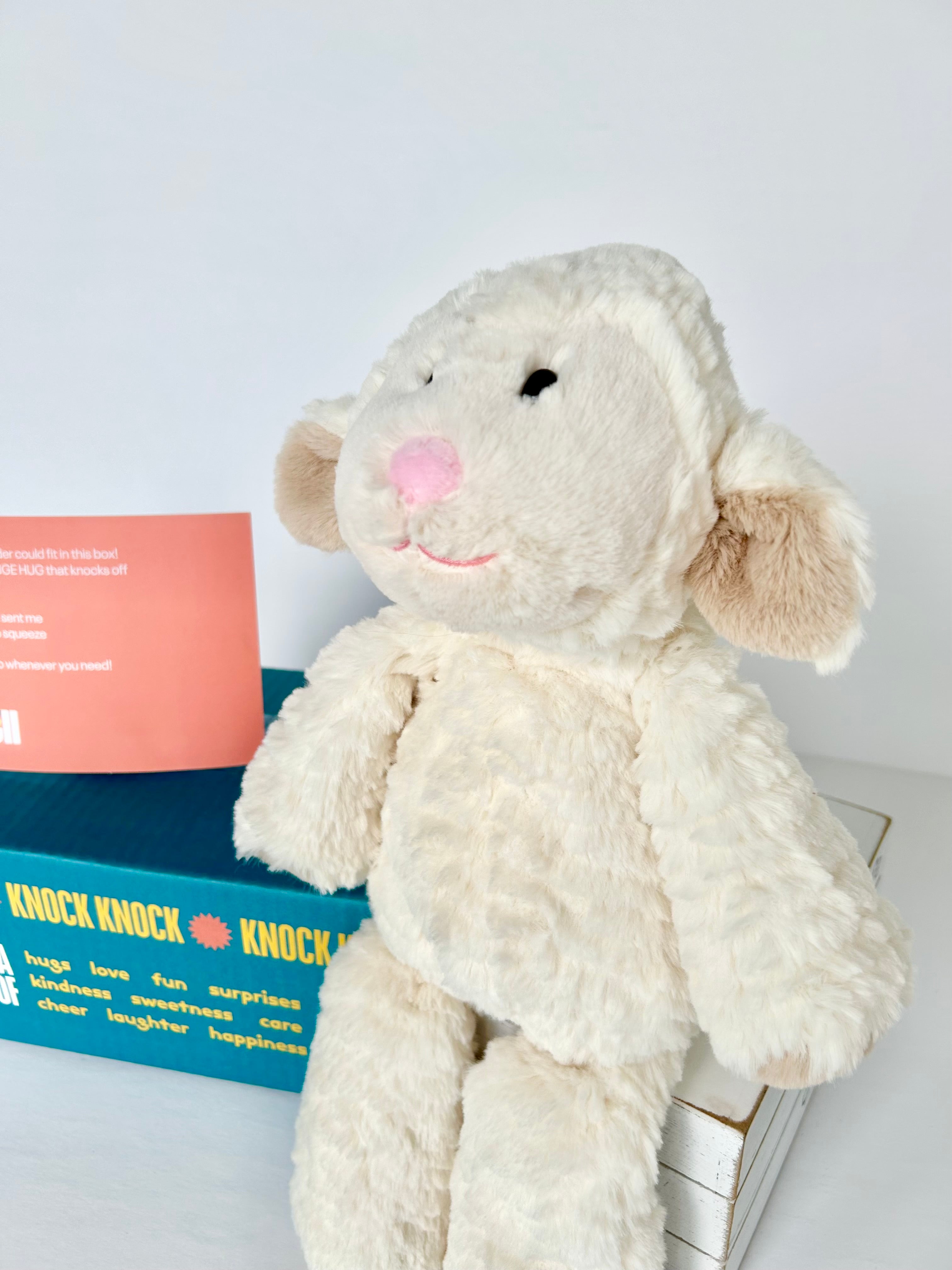 BoxFull of Hugs | Lamb