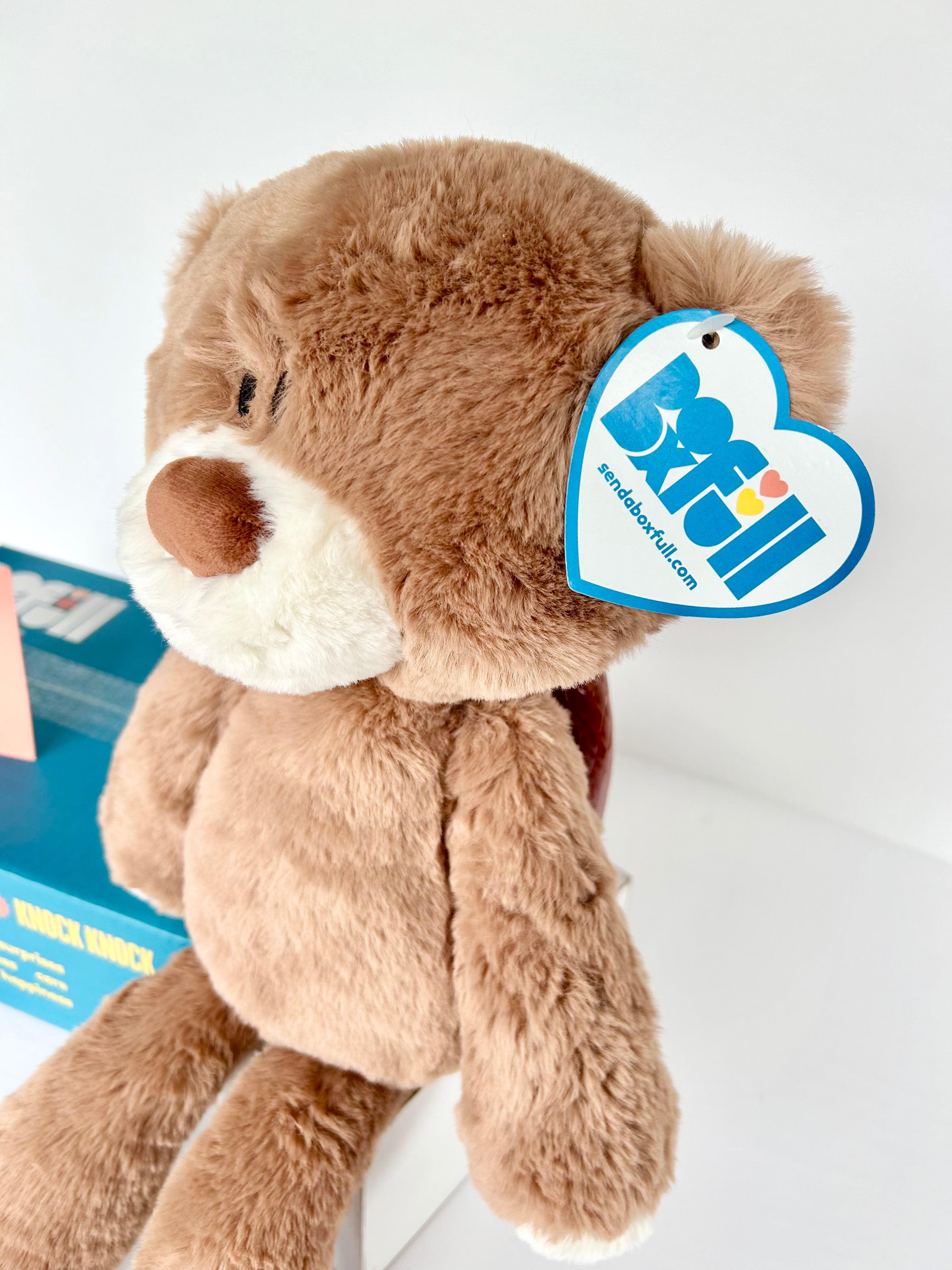 BoxFull of Hugs | Large