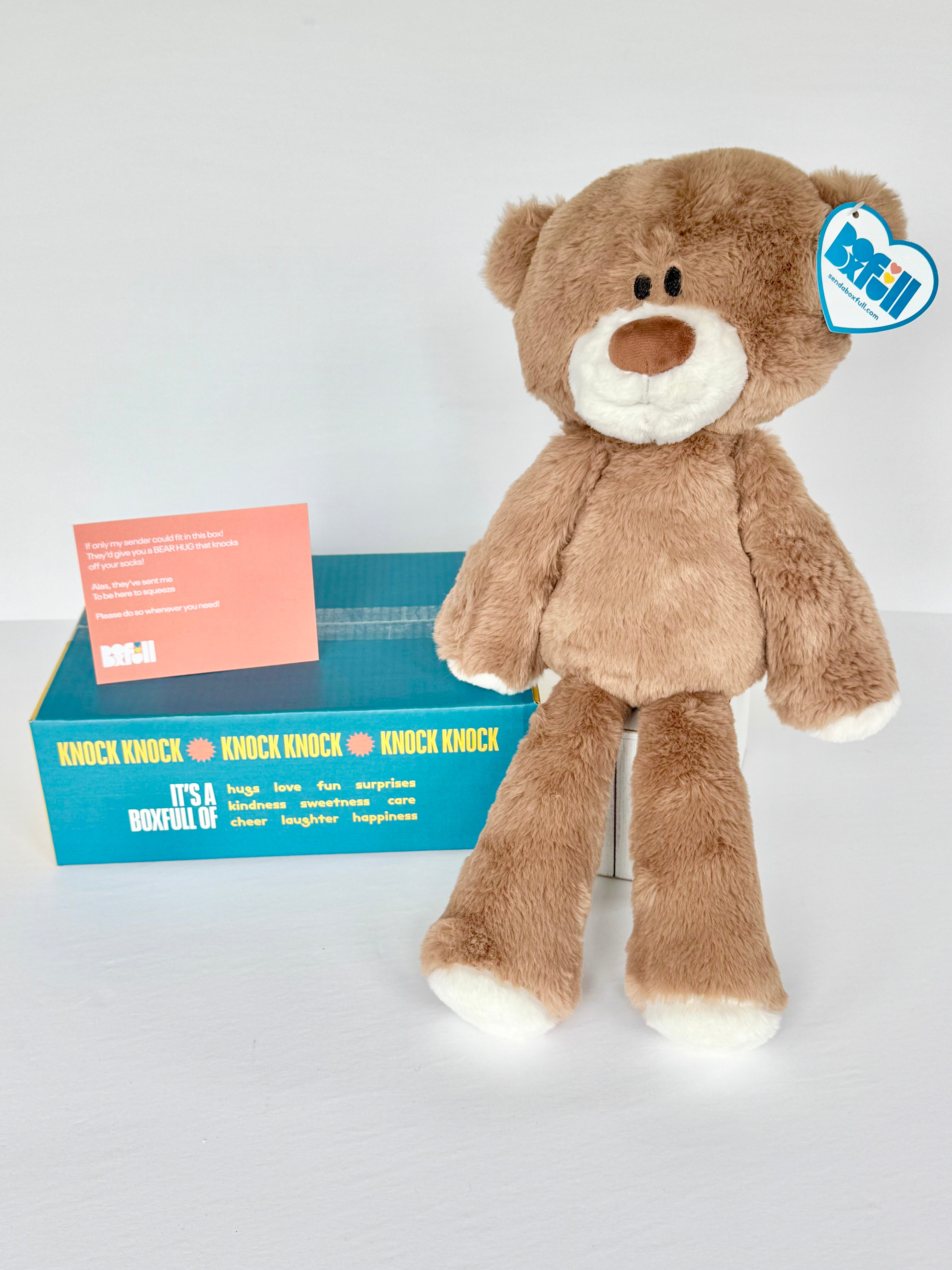 BoxFull of Hugs | Large