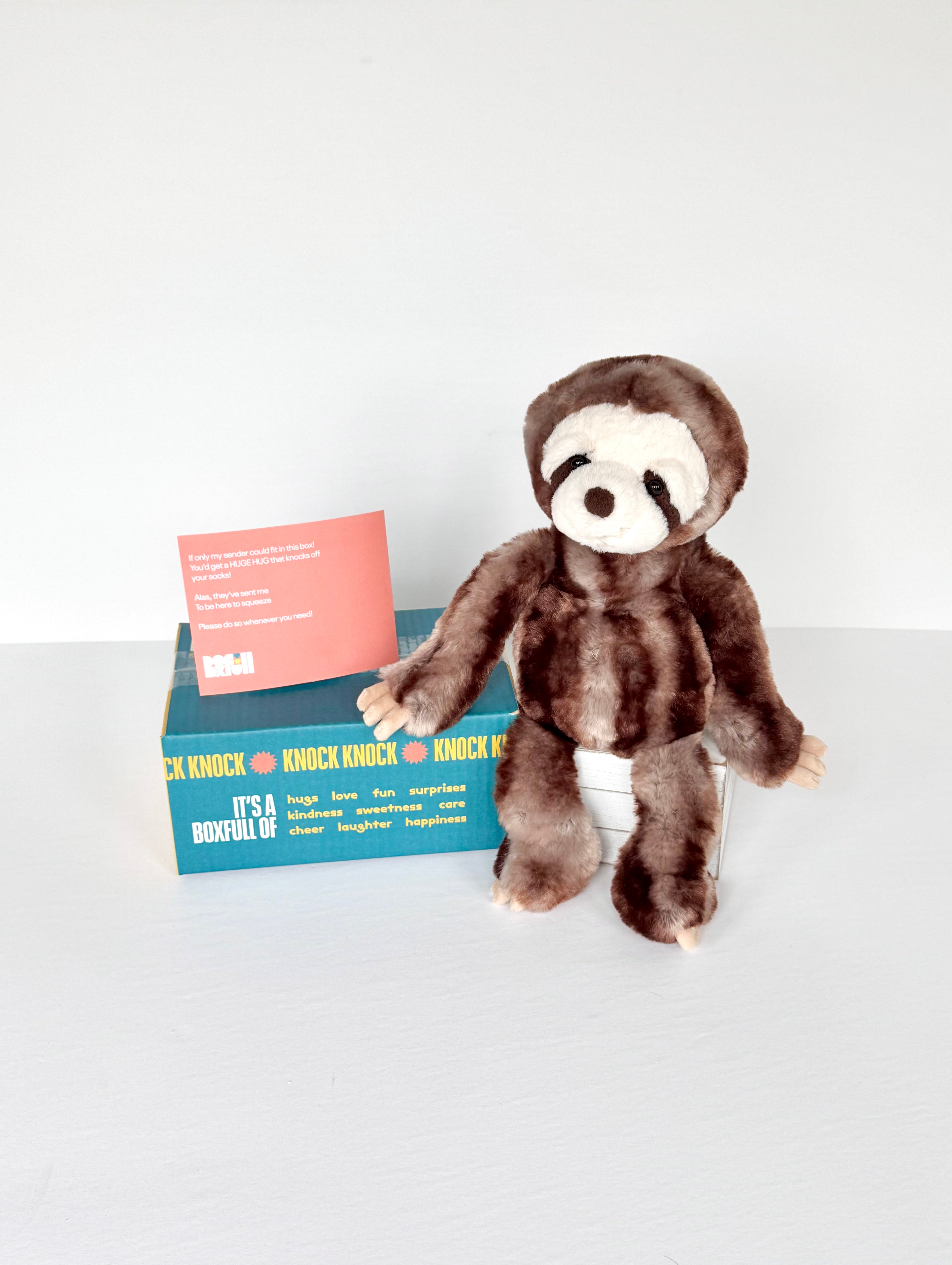 BoxFull of Hugs | Sloth