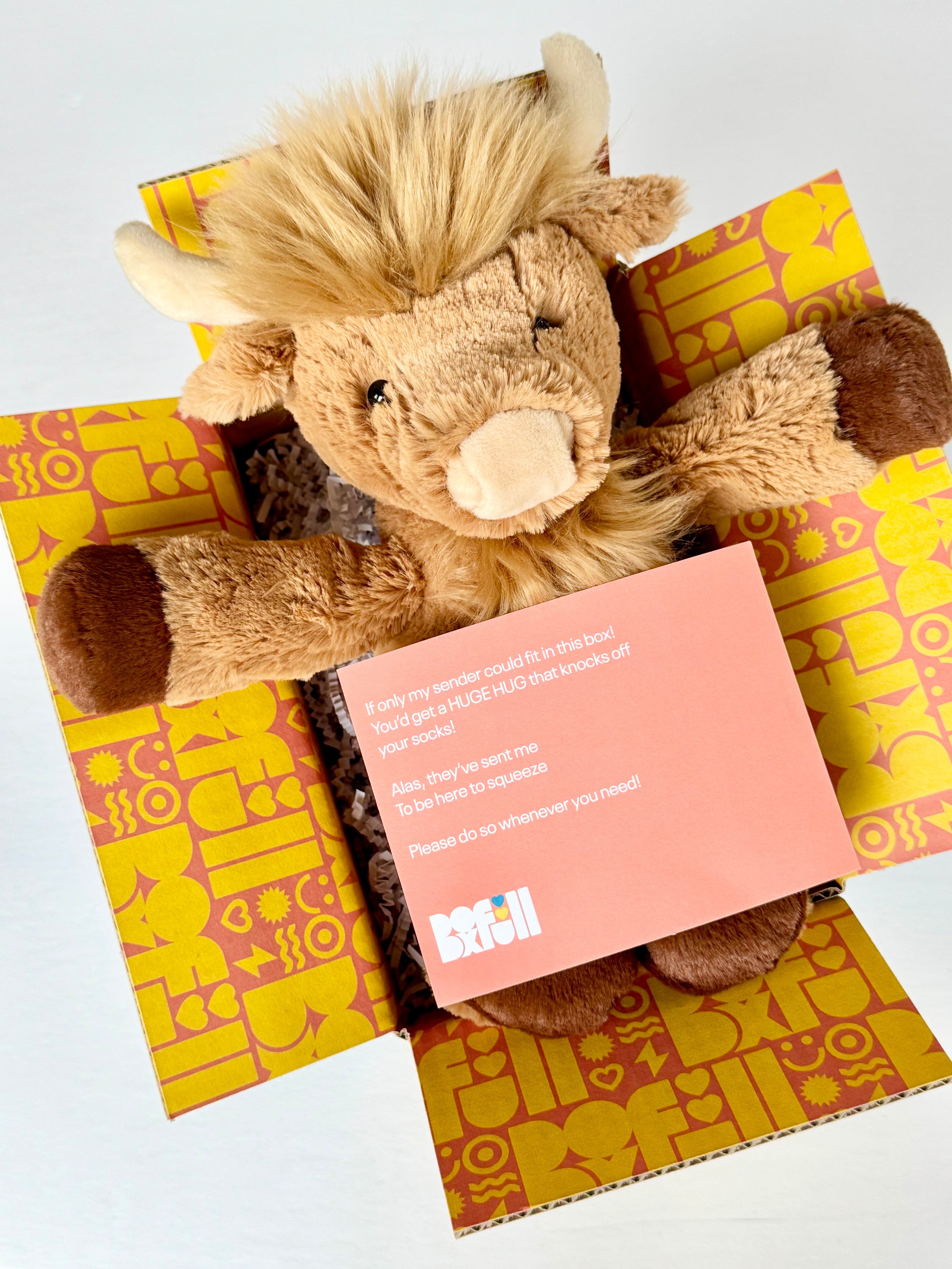 BoxFull of Hugs | Highland Cow