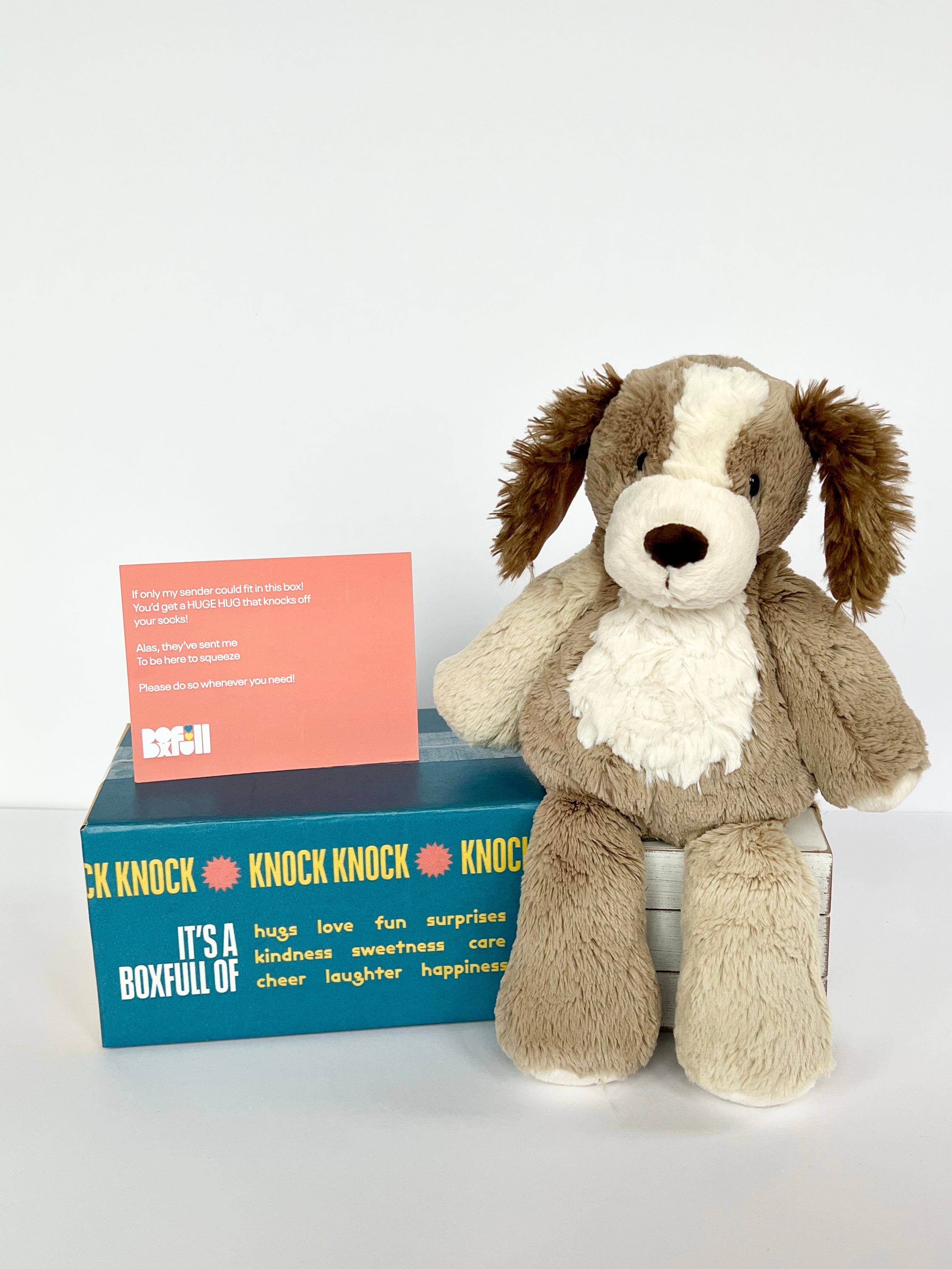 BoxFull of Hugs | Puppy