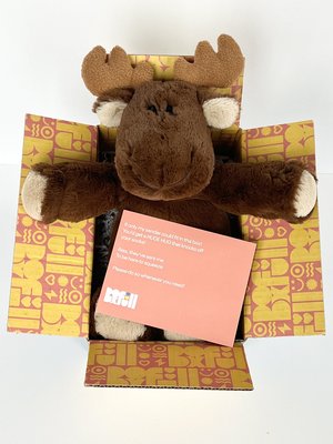 BoxFull of Hugs | Moose