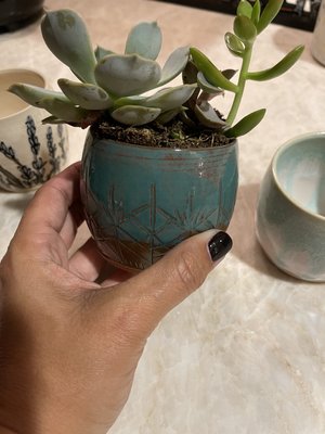 BoxFull of Hugs - Garden Lover